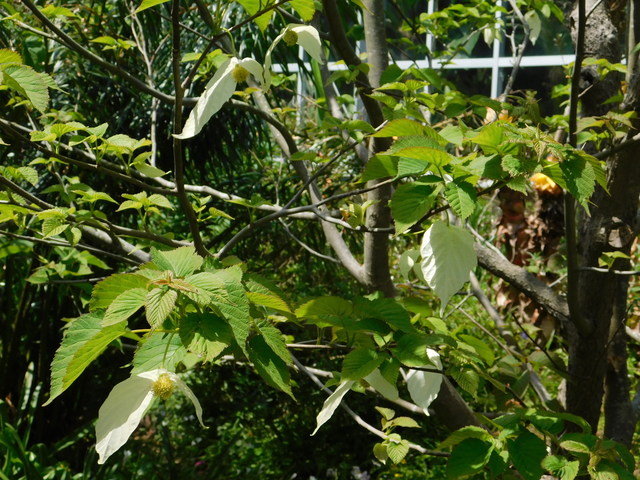 DSCN5829.JPG