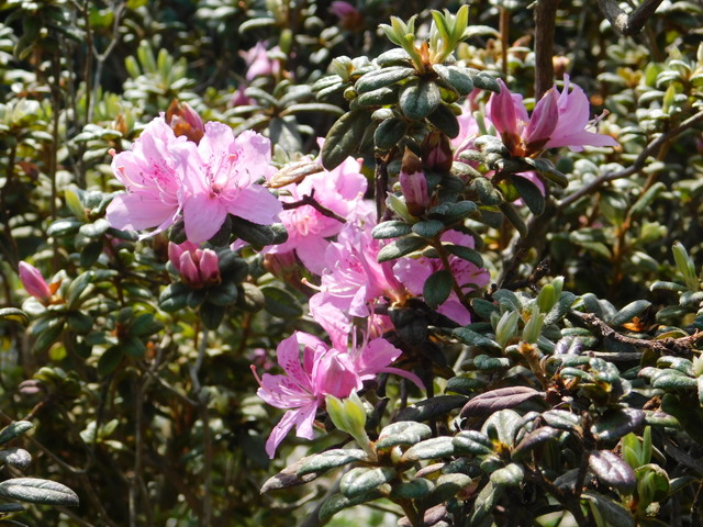 DSCN5834.JPG