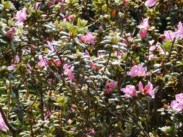 DSCN5835.JPG