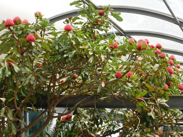 DSCN5851.JPG