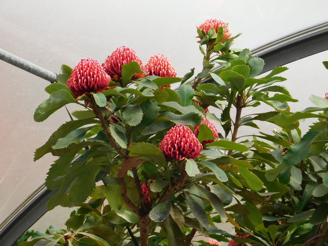 DSCN5855.JPG