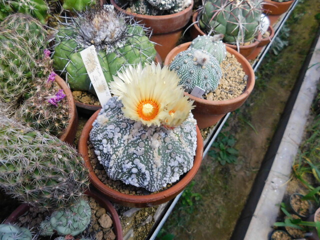 DSCN5940.JPG