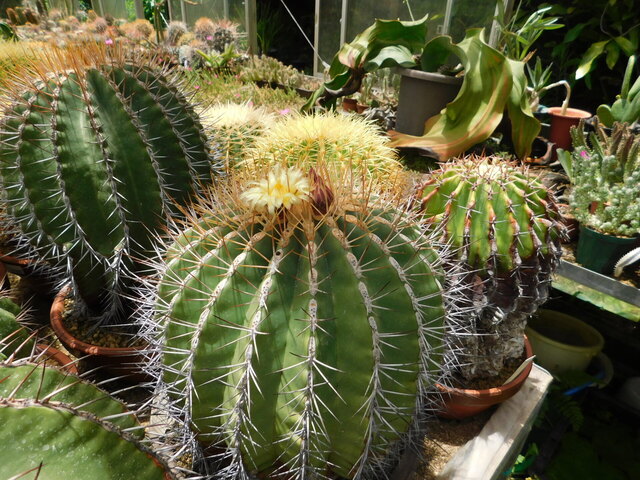 DSCN5959.JPG
