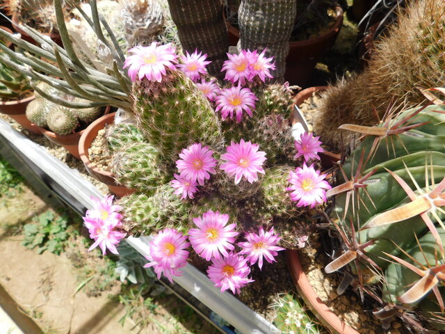 DSCN5961.JPG