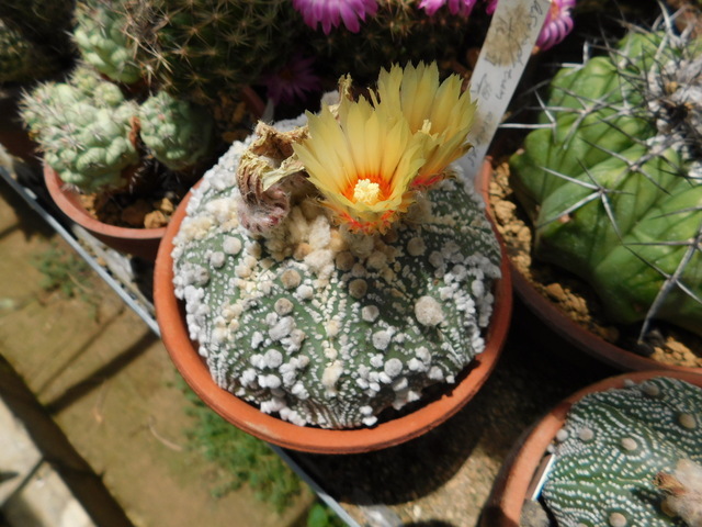 DSCN5967.JPG