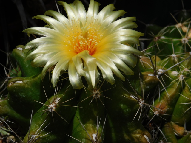 DSCN5971.JPG