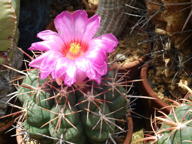 DSCN5973.JPG