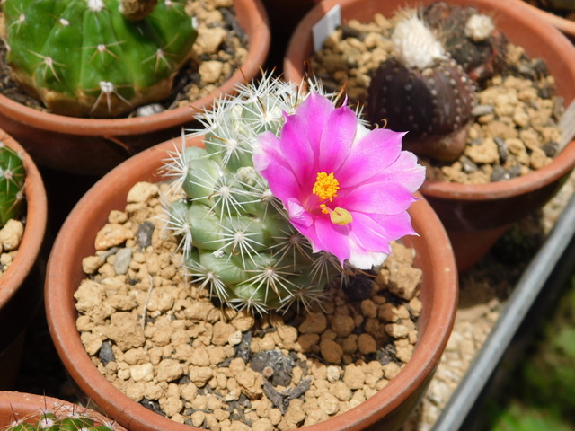 DSCN5977.JPG