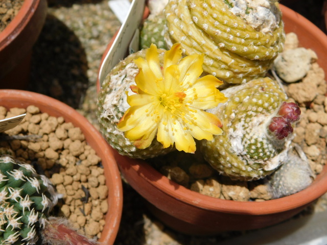 DSCN5985.JPG