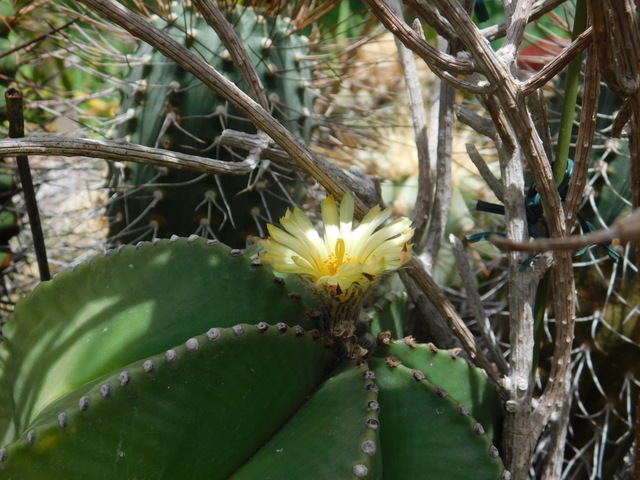 DSCN5991.JPG