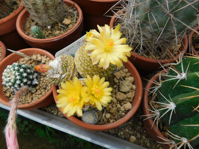 DSCN6055.JPG
