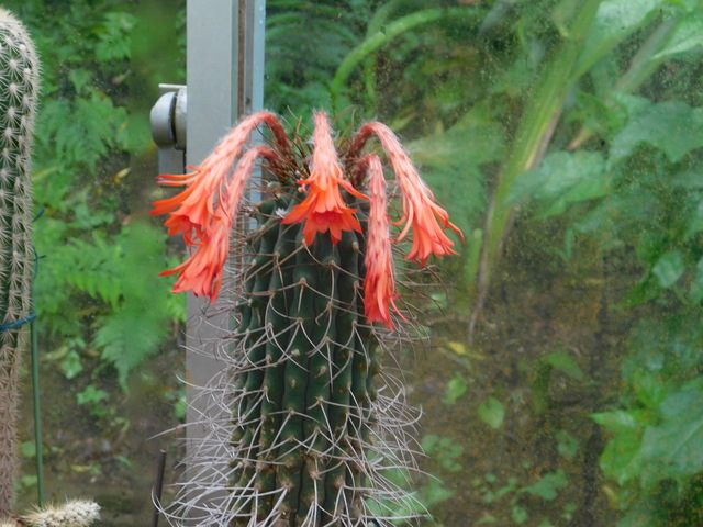 DSCN6059.JPG