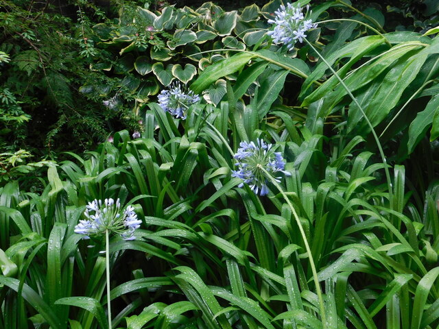 DSCN6074.JPG