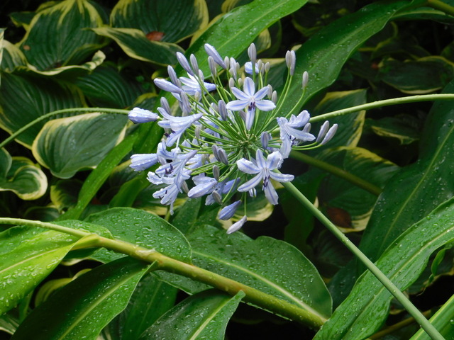DSCN6076.JPG