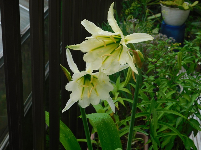 DSCN6082.JPG