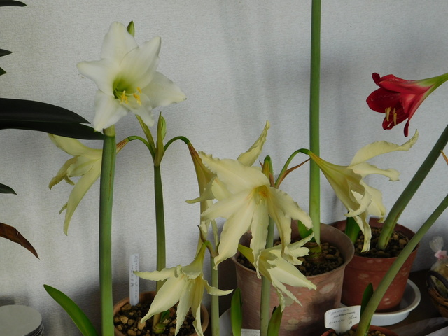 DSCN6120.JPG