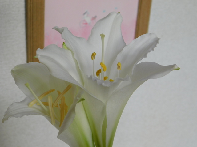 DSCN6122.JPG
