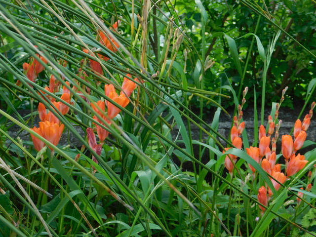 DSCN6128.JPG
