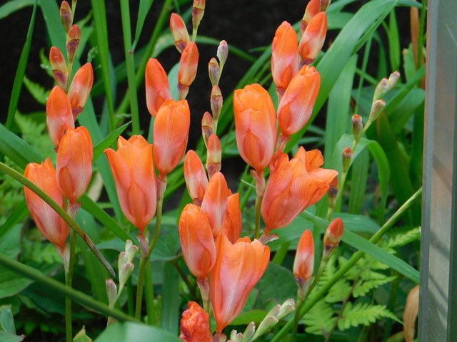 DSCN6129.JPG