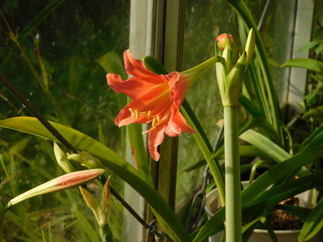 DSCN6136.JPG