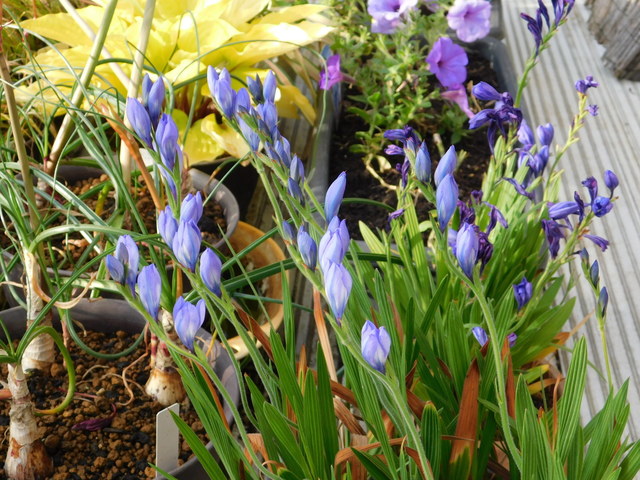 DSCN6154.JPG