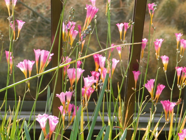 DSCN6159.JPG