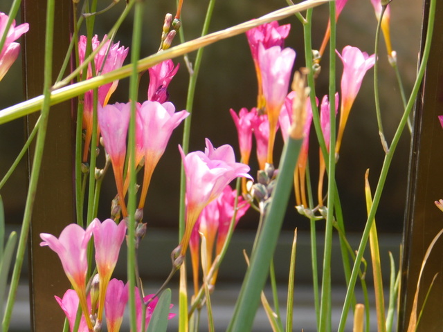 DSCN6161.JPG