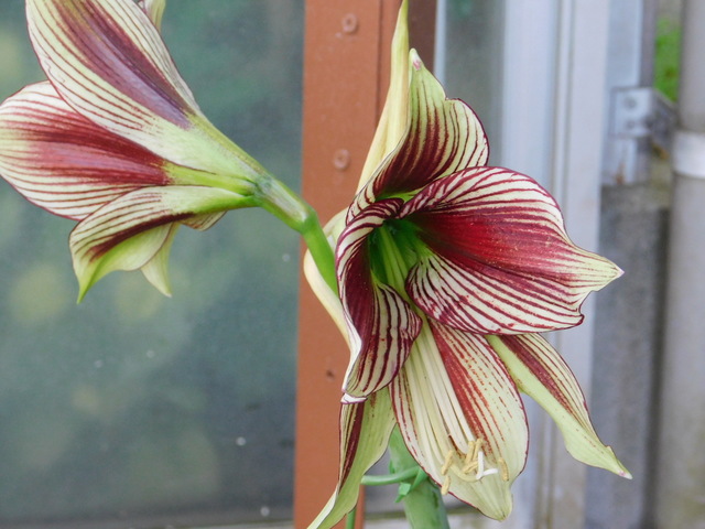 DSCN6166.JPG