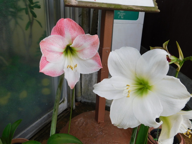 DSCN6168.JPG