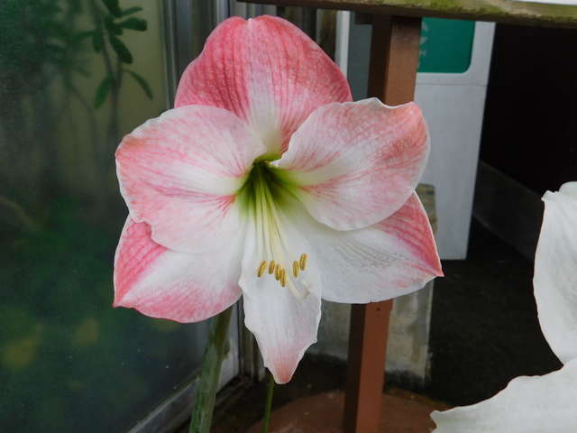 DSCN6170.JPG