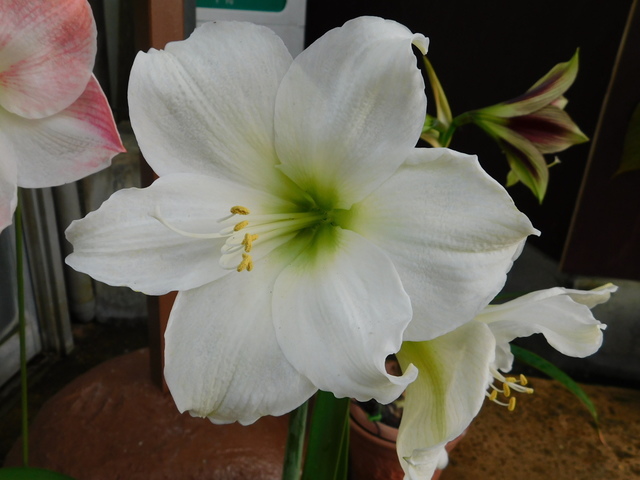 DSCN6171.JPG