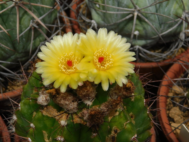 DSCN6377.JPG