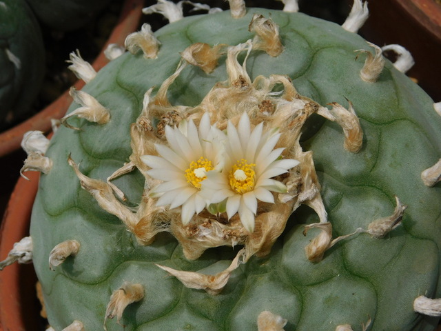DSCN6389.JPG