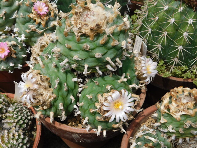 DSCN6391.JPG