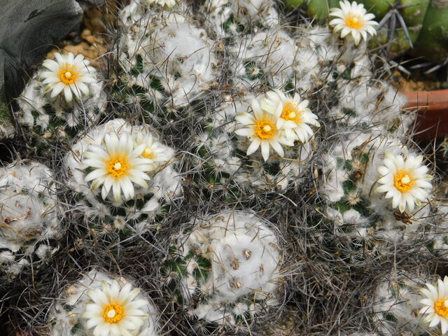 DSCN6397.JPG