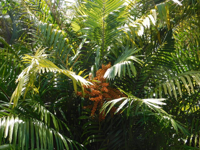 DSCN6411.JPG