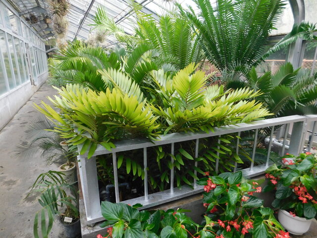 DSCN6477.JPG