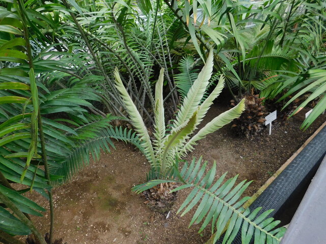DSCN6479.JPG