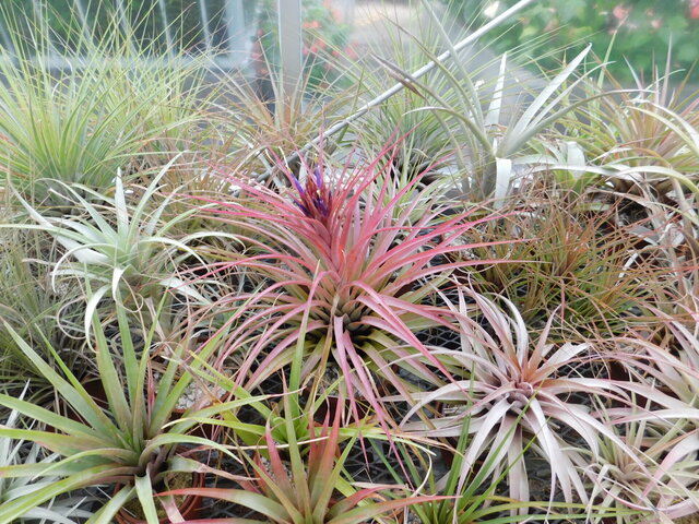 DSCN6557.JPG