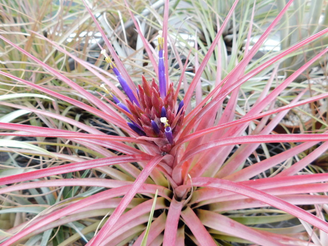 DSCN6558.JPG