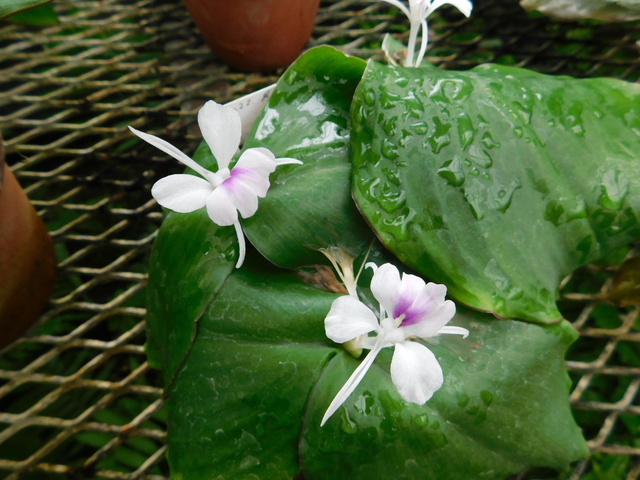 DSCN6567.JPG