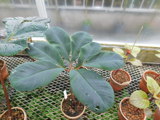 DSCN6580.JPG