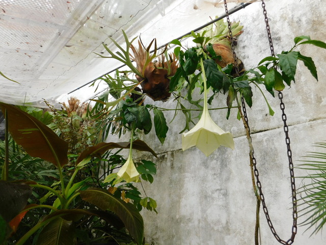 DSCN6586.JPG
