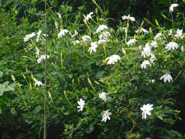 DSCN6599.JPG