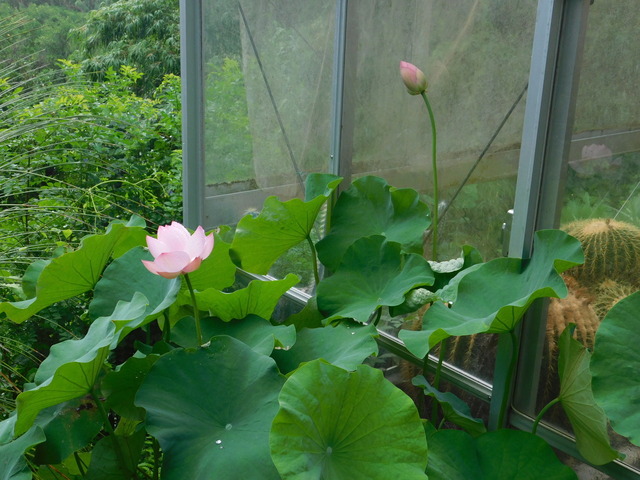 DSCN6608.JPG