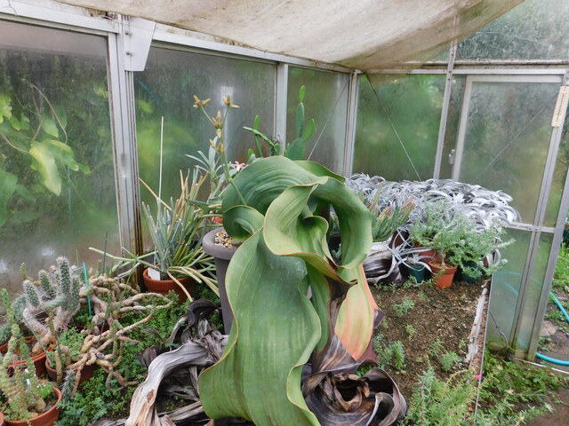 DSCN6696.JPG