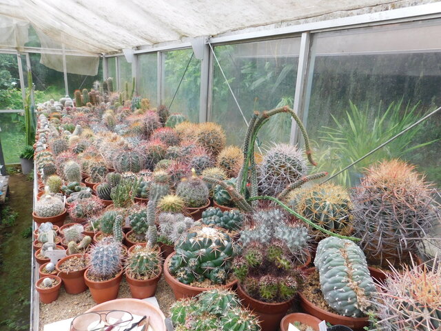 DSCN6700.JPG