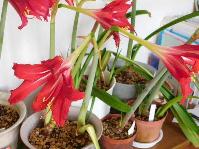 DSCN6835.JPG