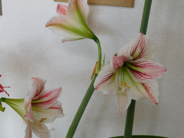 DSCN6839.JPG