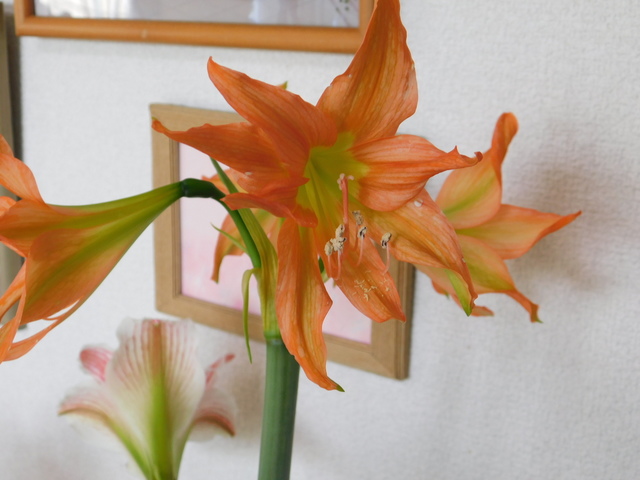 DSCN6844.JPG